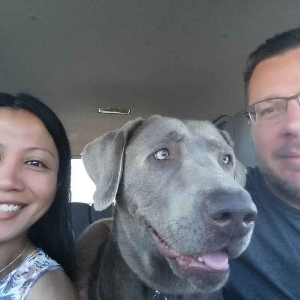 Meet your Posher, Ana leda